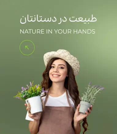 خرید اینترنتی گیاه آپارتمانی